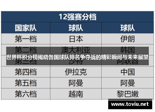 世界杯积分榜揭晓各国球队排名争夺战的精彩瞬间与未来展望